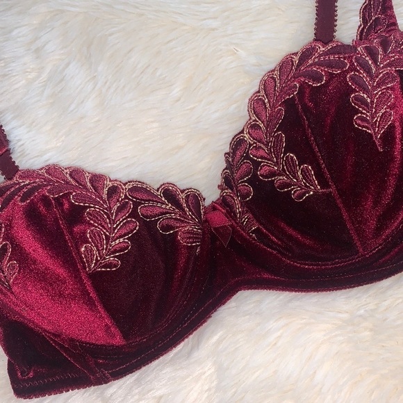 Victoria’s Secret Velvet Embroidered Bra - Picture 5 of 6